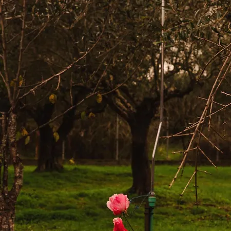 Eva's House *